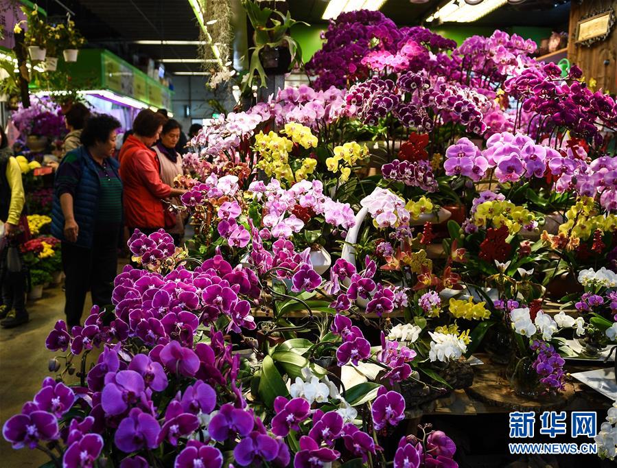 艾尔登法环神皮祷告书怎么获得