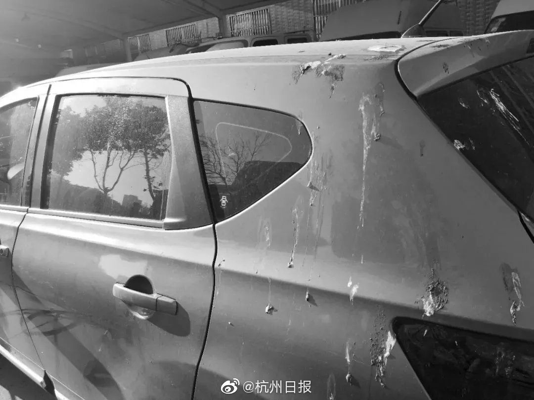 三国志14攻异民族怎么打