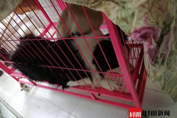 开拓者正义之怒天生武器包含了什么