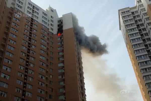 迷失stray全收集攻略